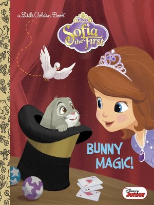cover image of Bunny Magic!